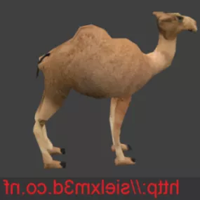 Camel Lowpoly Animal 3d model