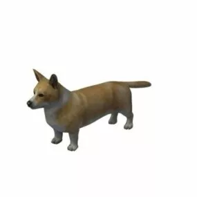 Cardigan Welsh Corgi Dog 3d model