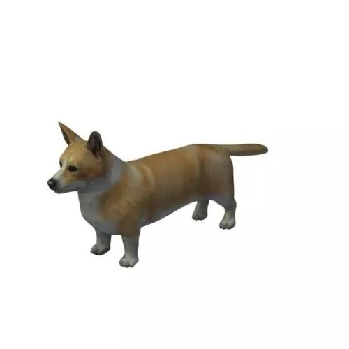 Cardigan Welsh Corgi Dog 3d model Cardigan Welsh Corgi Dog 3d model