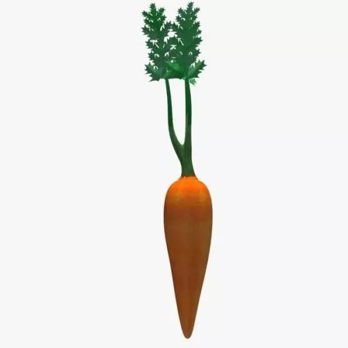 Carrot 3d model Carrot 3d model