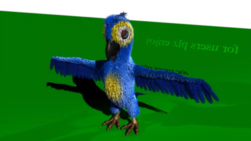 Blue Lorikeet 3d model