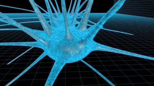 Brain Neurons V1 3d model Brain Neurons V1 3d model