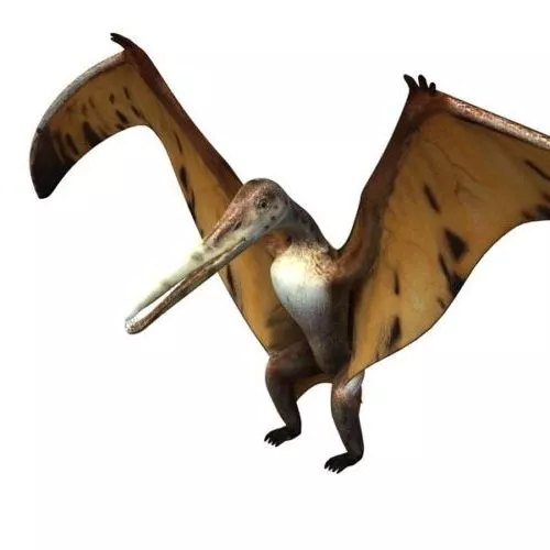 Wild Velociraptor Dinosaur 3d model