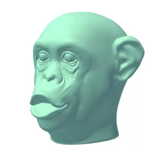 Man Head Gerard Lanvin 3d model