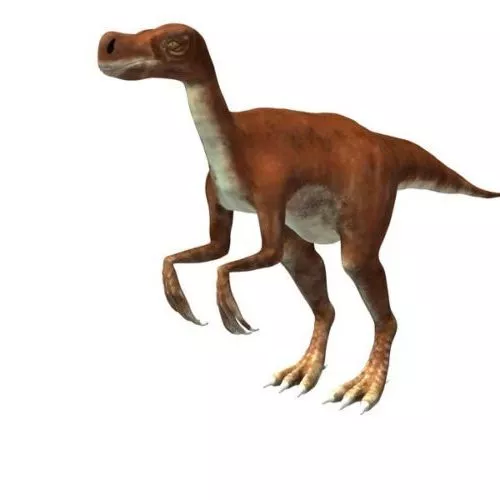 Hippodraco Dinosaur 3d model