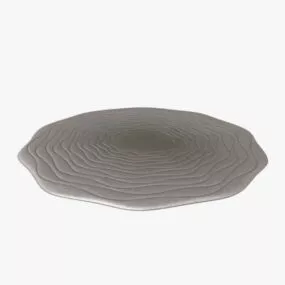 Circular Throw 3d model