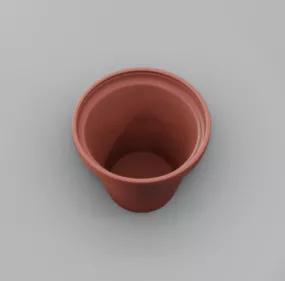 Clay Potted 3d model