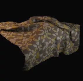 Cloth Cover 3d model
