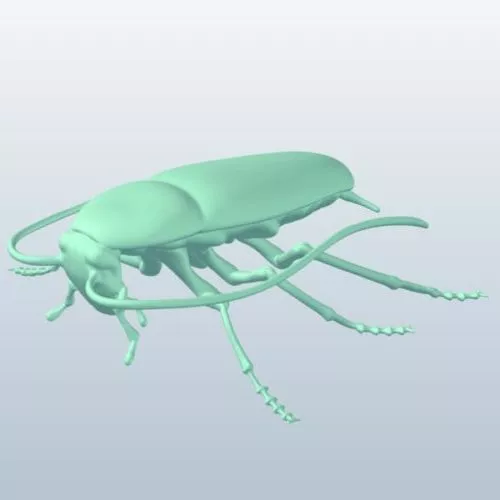 Cockroach Animal 3d model Cockroach Animal 3d model