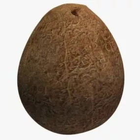 Coconut Whole 3d model