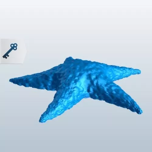 Fangtooth Fish 3d model