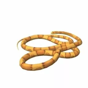 American Corn Snake 3d model