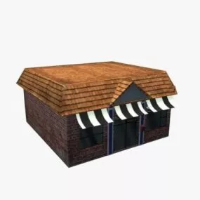 Shop Store 3d model