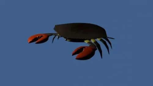 Realistic Sea Crab 3d model