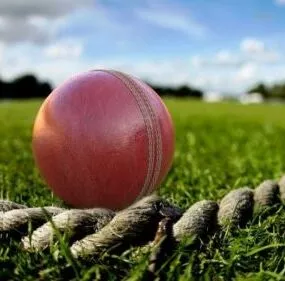 Red Cricket Ball 3d model