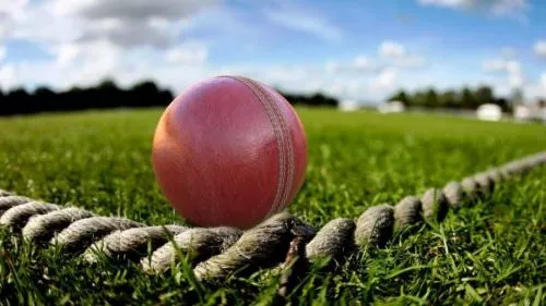Red Cricket Ball 3d model Red Cricket Ball 3d model