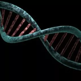 Dna Science 3d model