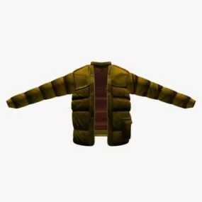 Down Coat Fashion 3d model
