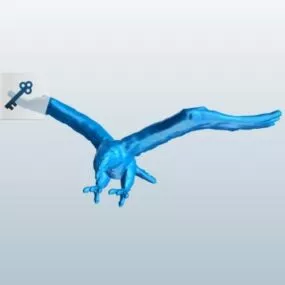 Eagle Flying 3d model