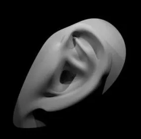 Ear Sculpt 3d model