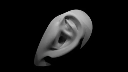 Man Skeleton 3d model