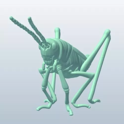 Migratory Locust 3d model