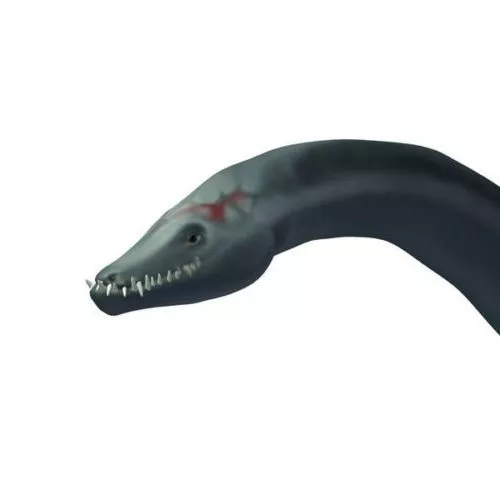 Elasmosaurus Dinosaur 3d model Elasmosaurus Dinosaur 3d model