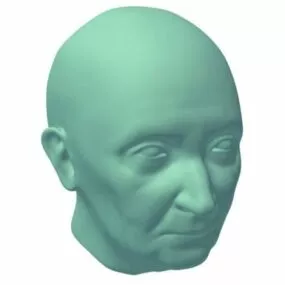 European Female Elder Head V1 3d model