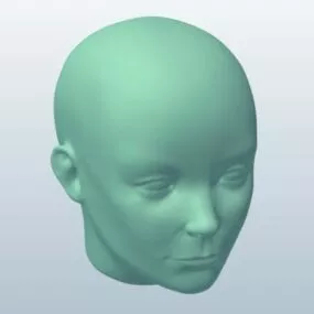 European Male Head Sculpture 3d model