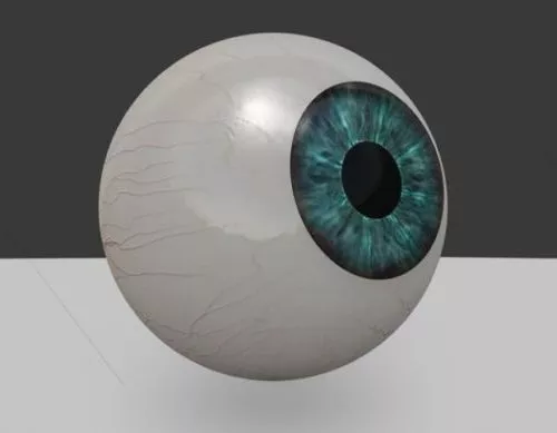 Finger Sculpt 3d model