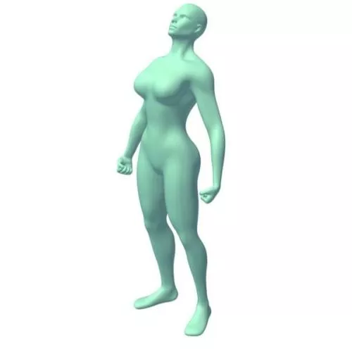 Girl Character Anne 3d model