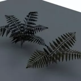 Small Fern Plant 3d model