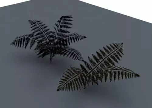 Small Fern Plant 3d model Small Fern Plant 3d model