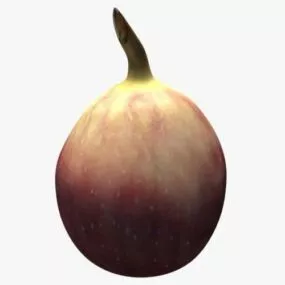 Common Fig Plants 3d model