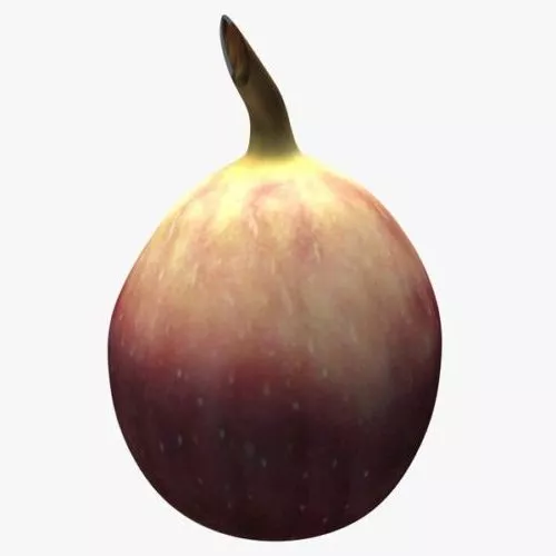 Common Fig Plants 3d model Common Fig Plants 3d model