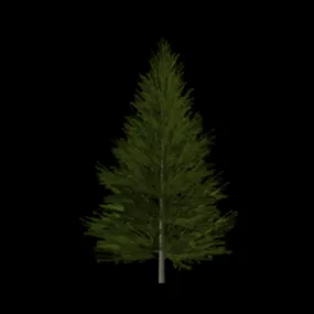 Fir Tree Lowpoly 3d model