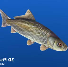 River Fish Lowpoly 3d model