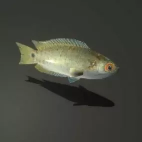 River Fish Lowpoly V1 3d model