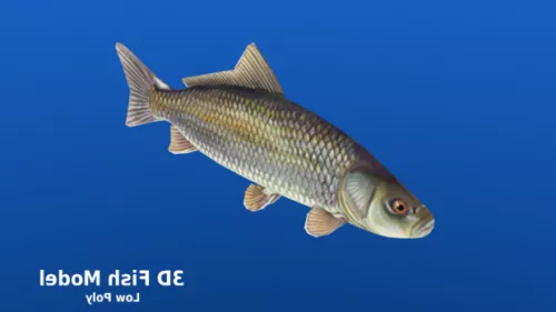 Fangtooth Fish 3d model