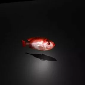 Red Fish Aquarium 3d model
