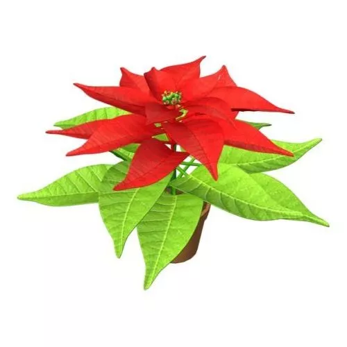 Red Flower Lowpoly 3d model Red Flower Lowpoly 3d model
