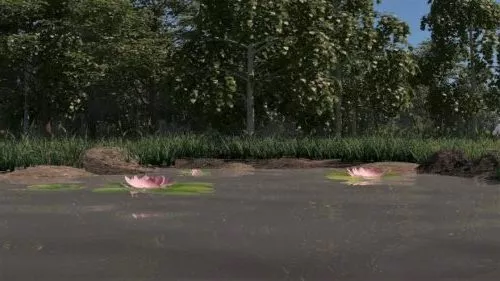 Sunset Lake Scene 3d model