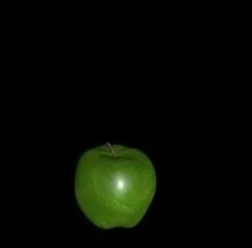 Green Apple Fruit 3d model