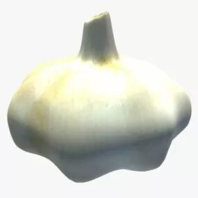 Garlic Vegetable 3d model