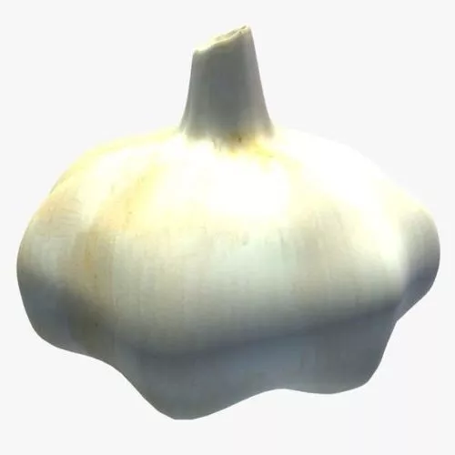 Garlic Vegetable 3d model Garlic Vegetable 3d model