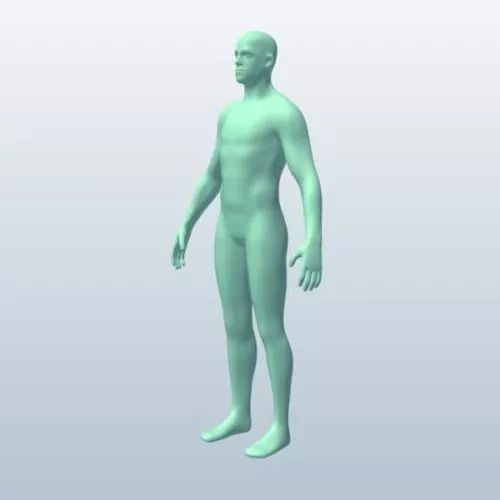 Male Body Sculpture 3d model Male Body Sculpture 3d model