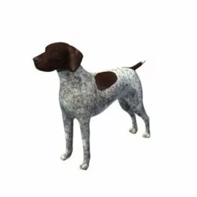German Pointer Dog 3d model