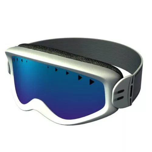 Common Swimming Goggles 3d model