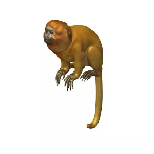 Monkey Rig Animated 3d model