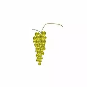 Grape Fruit 3d model
